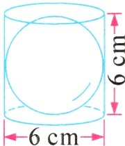 T6cm