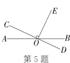 第5题