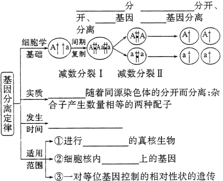 范围一对等位基因控制的相对性状的遗传