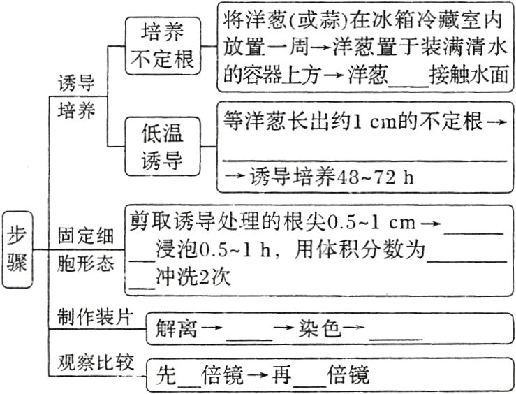 观察比较先倍镜再倍镜