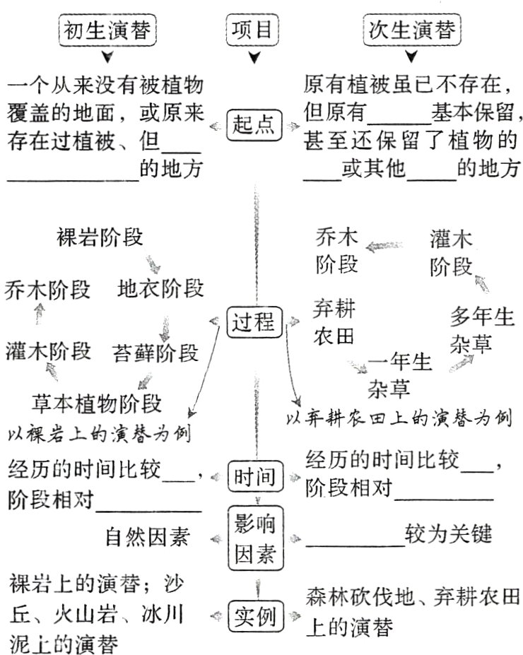 实例上的演替丘火山岩冰川泥上的演替