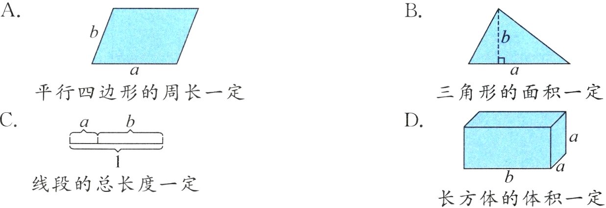 线段的总长度一定长方体的体积一定