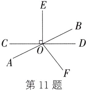 第11题