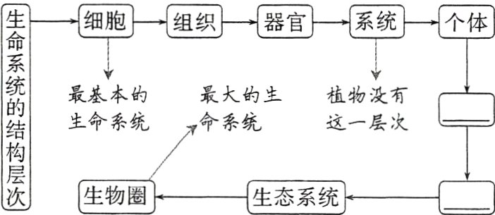 生物圈生态系统