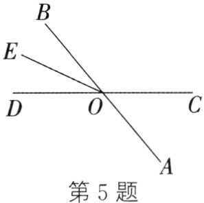 第5题