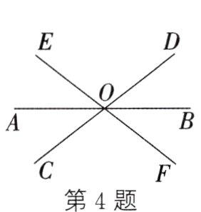 第4题