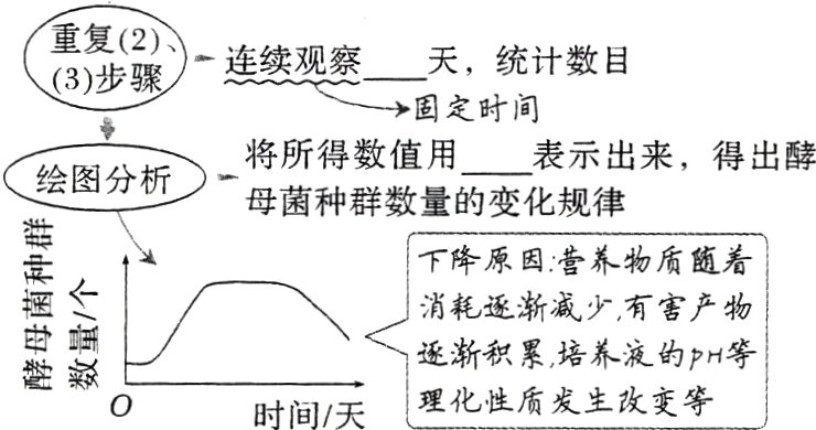 逐渐积累培养液的PH等理化性质发生改变等时间天