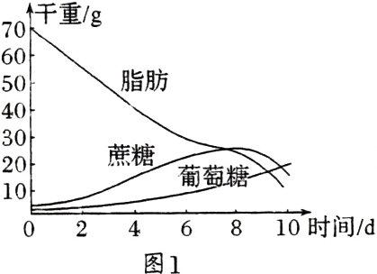 0246810时间d0246810时间d图1
