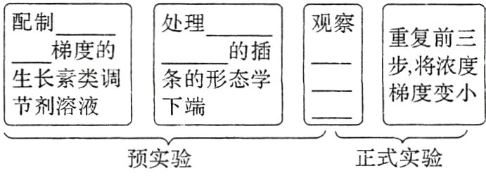 正式实验预实验