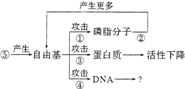 攻击DNA