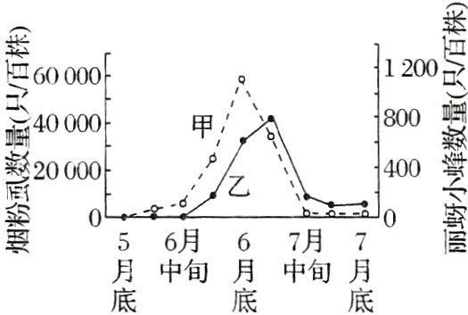 月中旬月中旬月