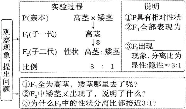 F2中矮茎又出现了说明了什么为什么F2中的性状分离比都接近31