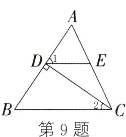 第9题