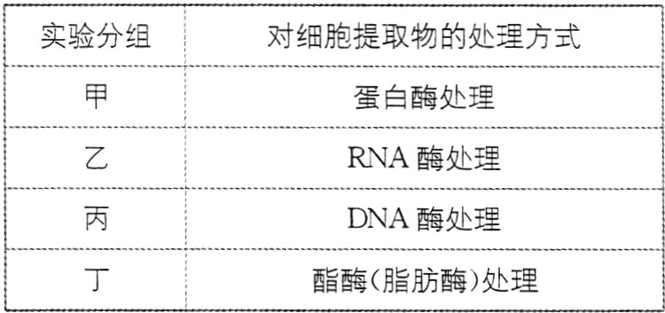 酯酶脂肪酶处理