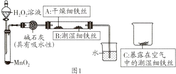 中的潮湿细铁丝MnO图1