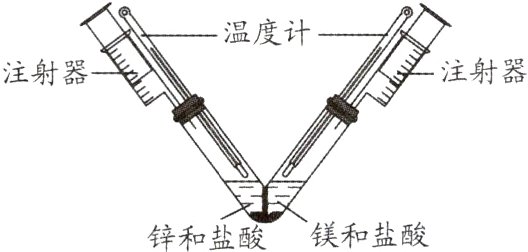 习夏镁和盐酸锌和盐酸