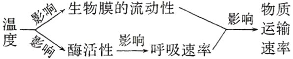 影物运速质输率酶活性影鸣呼吸速率