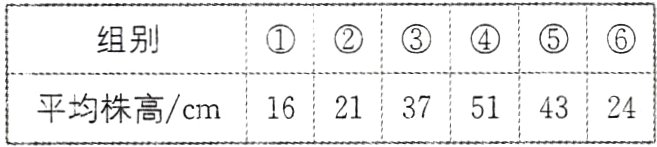 平均株高cm162137514324