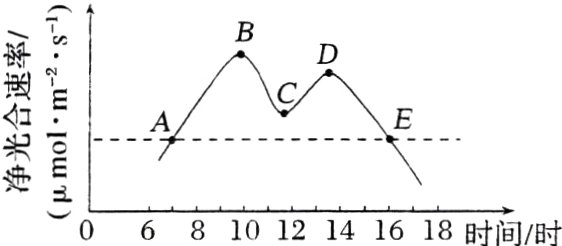 净四0681012141618时间时