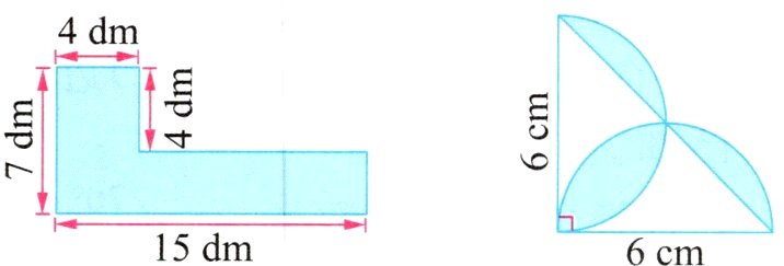 6cm15dm