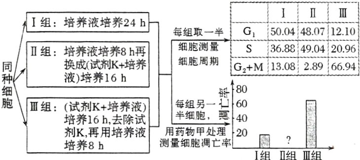 测量细胞调亡率1组II组III组培养8h