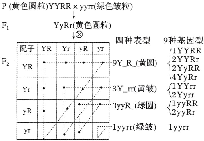 浐1yyrr绿皱AV1yyrr