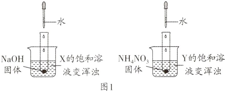 固体液变浑浊液变浑浊图1