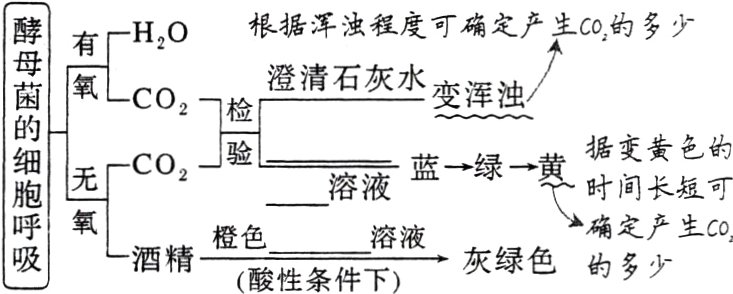 橙色溶液酒精灰绿色的多少酸性条件下