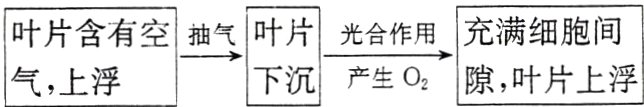 产生0隙叶片上浮气上浮
