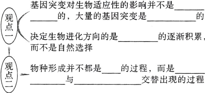 交替出现的过程