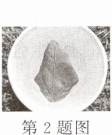 第2题图