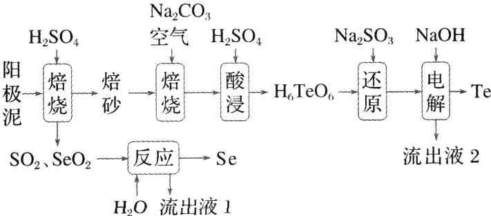 反应seHO流出液1