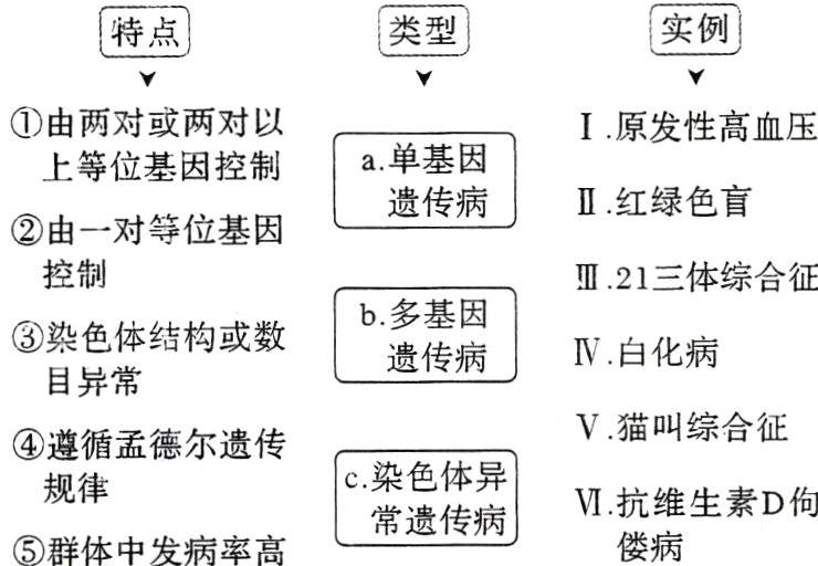 V抗维生素D佝常遗传病偻病群体中发病率高