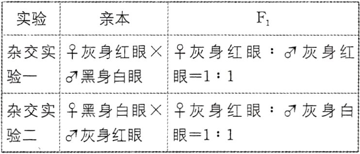 灰身红眼验二眼11