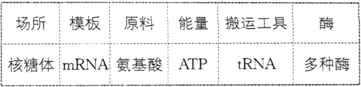 核糖体mRNA氨基酸ATPtRNA多种酶