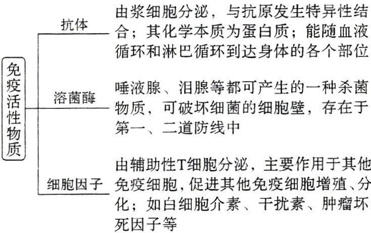 化如白细胞介素干扰素肿瘤坏死因子等
