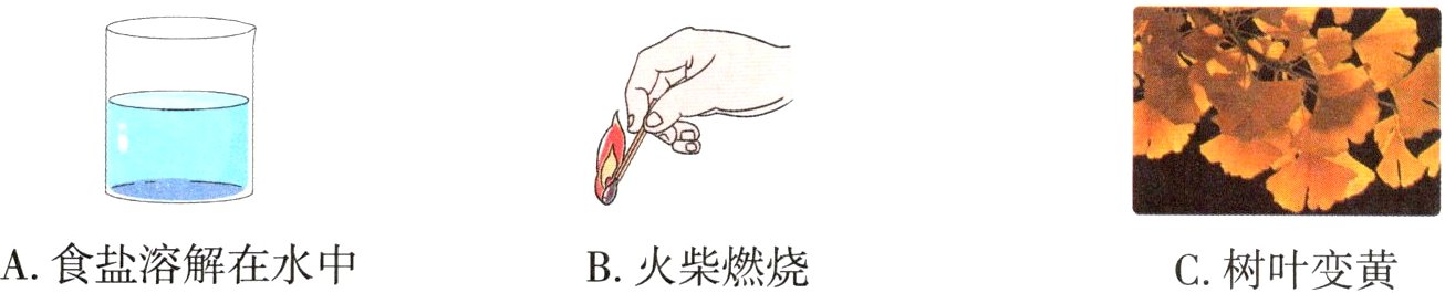 A食盐溶解在水中B火柴燃烧C树叶变黄