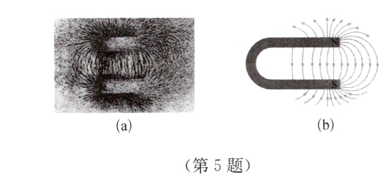 第5题