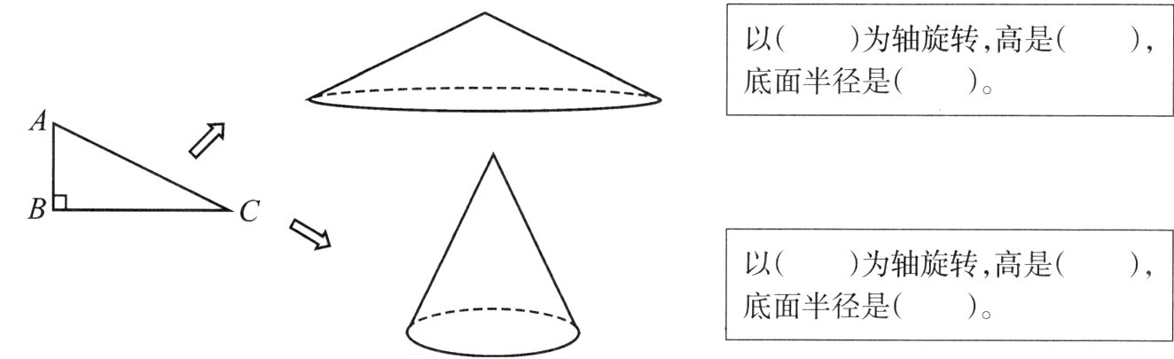 底面半径是