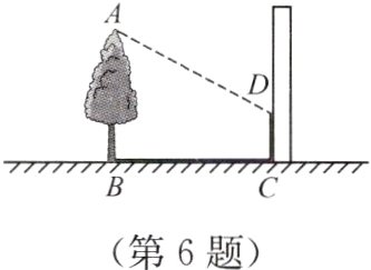 第6题