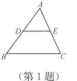 第1题