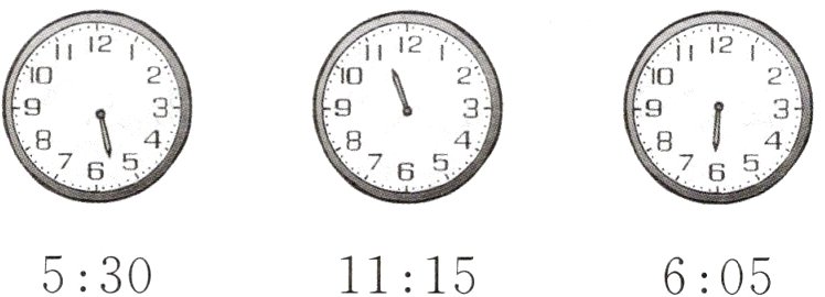 5301115605