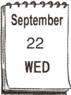 WED