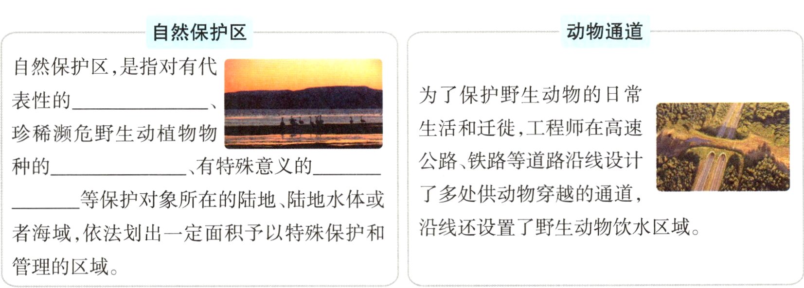 管理的区域