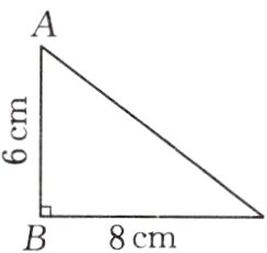 B8cm