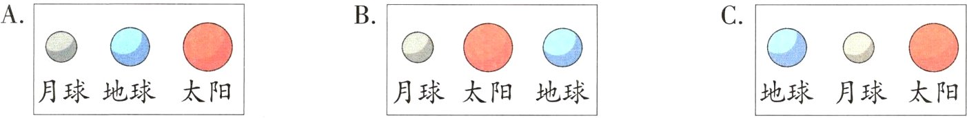 月球地球太阳月球太阳地球地球月球太阳