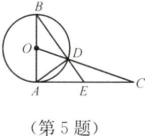 第5题