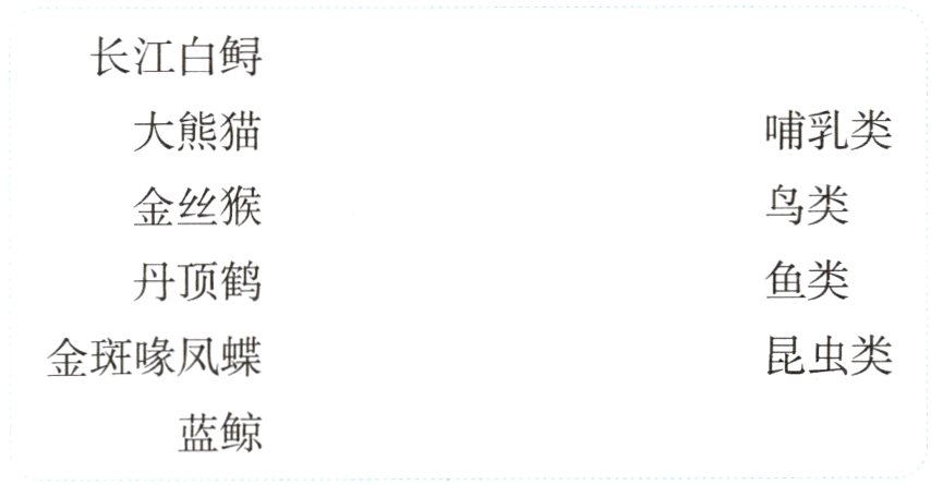 蓝鲸
