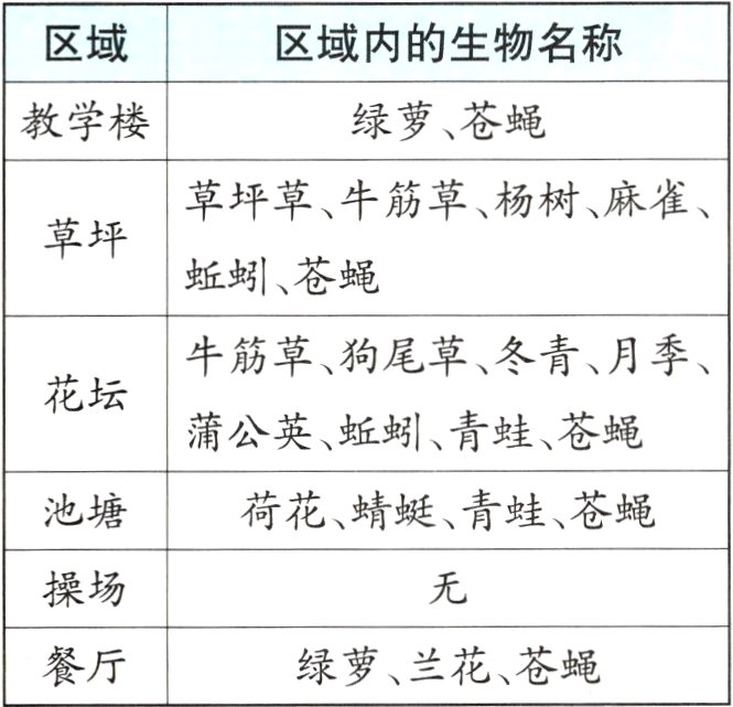绿萝兰花苍蝇餐厅