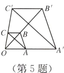 第5题